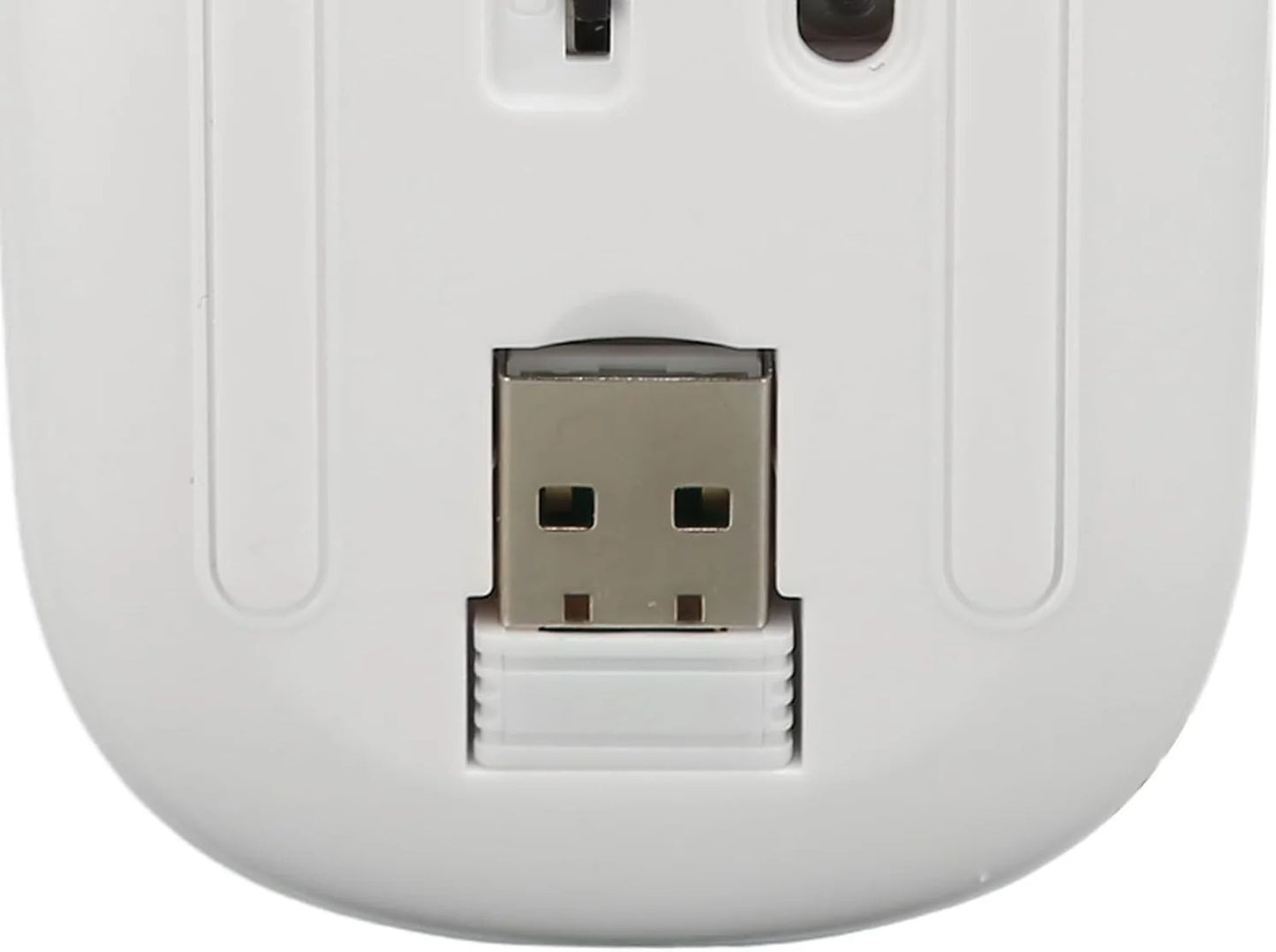 Rato Sem Fios Recarregável 2 em 1 Bluetooth + USB 2,4G 1600 DPI Ergonómico Branco
