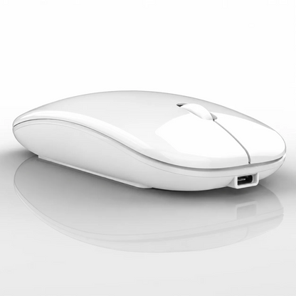 Rato Sem Fios Recarregável 2 em 1 Bluetooth + USB 2,4G 1600 DPI Ergonómico Branco
