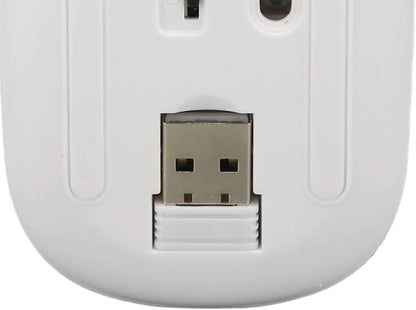 Rato Sem Fios Recarregável 2 em 1 Bluetooth + USB 2,4G 1600 DPI Ergonómico Branco